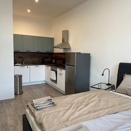 Apartman Palackeho 塔博尔 外观 照片