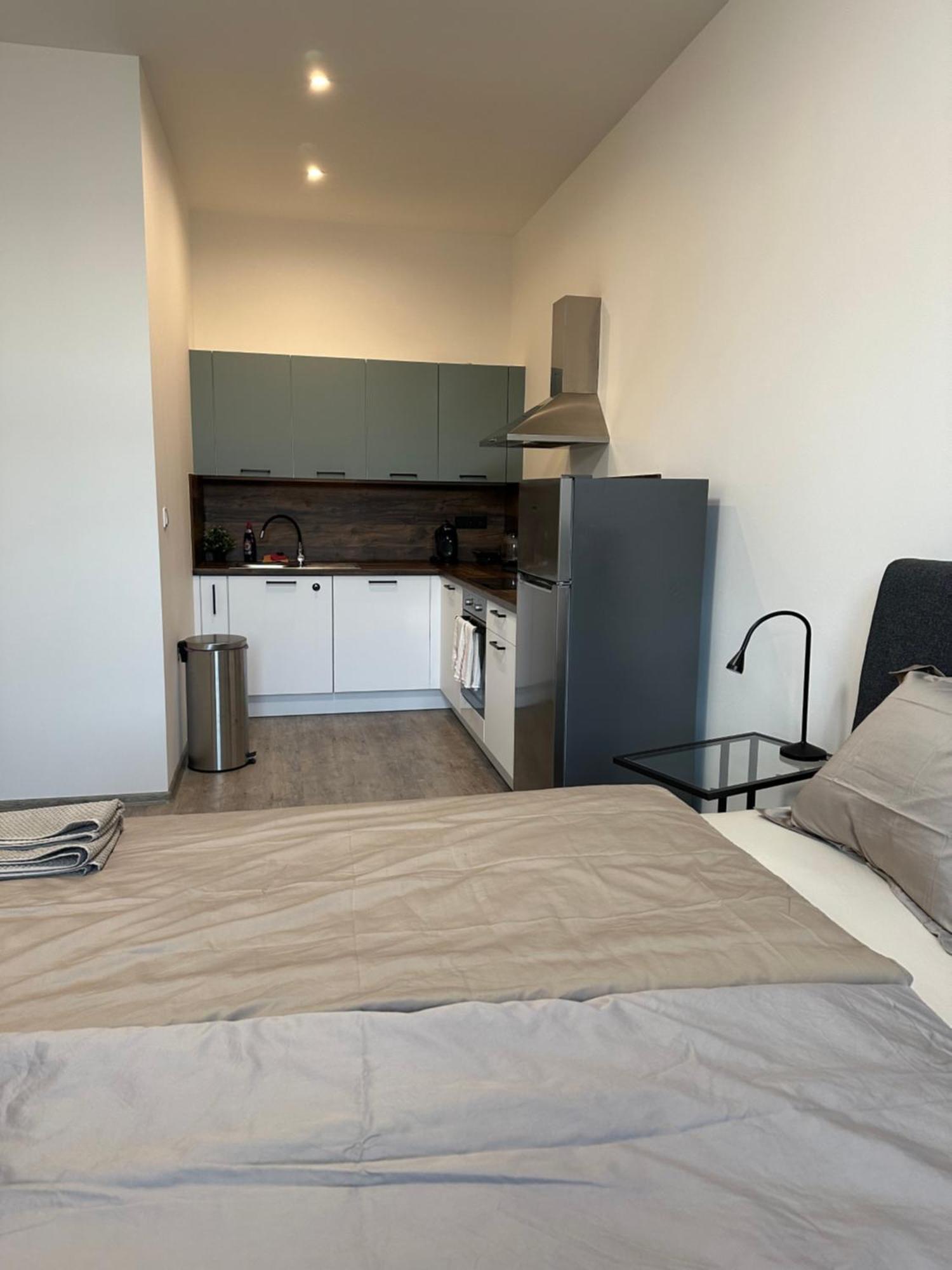 Apartman Palackeho 塔博尔 外观 照片